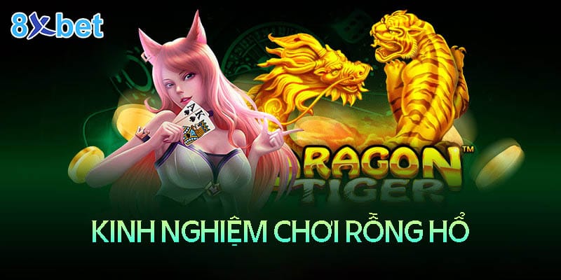 Kinh nghiệm chơi rồng hổ 8XBet Casino luôn thắng lớn